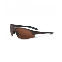 8H060 - JB's POLARISED SPEC (12 PACK) 